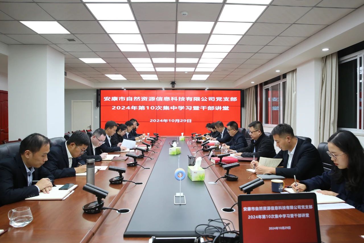 市自然資源信息科技有限公司黨支部開展2024年第十次集中學習暨干部講堂